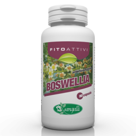 FITOATTIVI BOSWELLIA  Sangalli 90 capsule