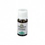 OLIO ESSENZIALE ROSMARINO  Sangalli 10ml