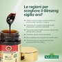 GINSENG ESTRATTO MOLLE  Naturando 50gr